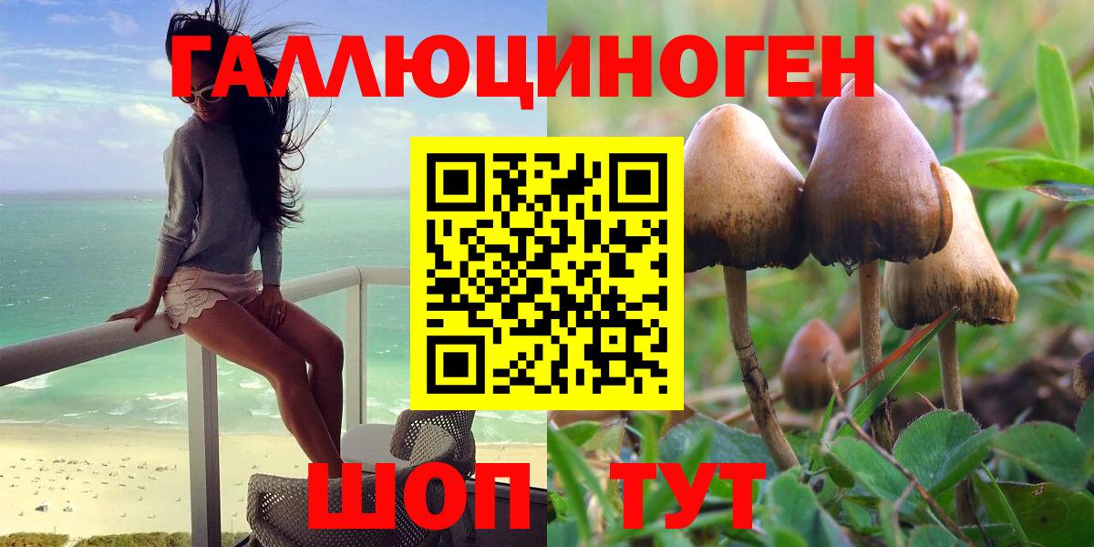 Галлюциногенные грибы MAGIC MUSHROOMS  Вход с VPN  Псилоцибиновые грибы Psilocybine cubensis  где можно купить наркотик  Малгобек 